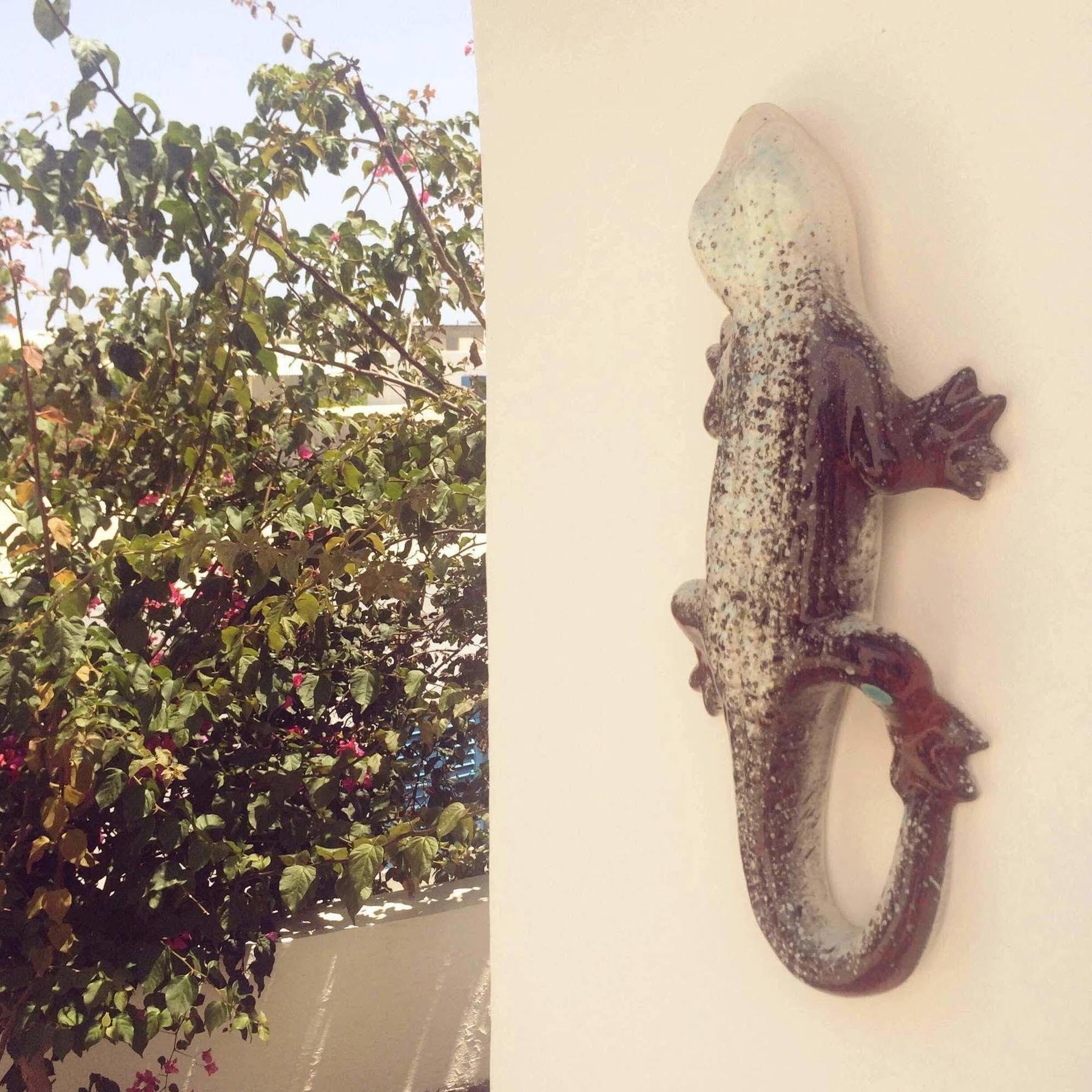Casual Guest House Panareal Acquacalda 外观 照片